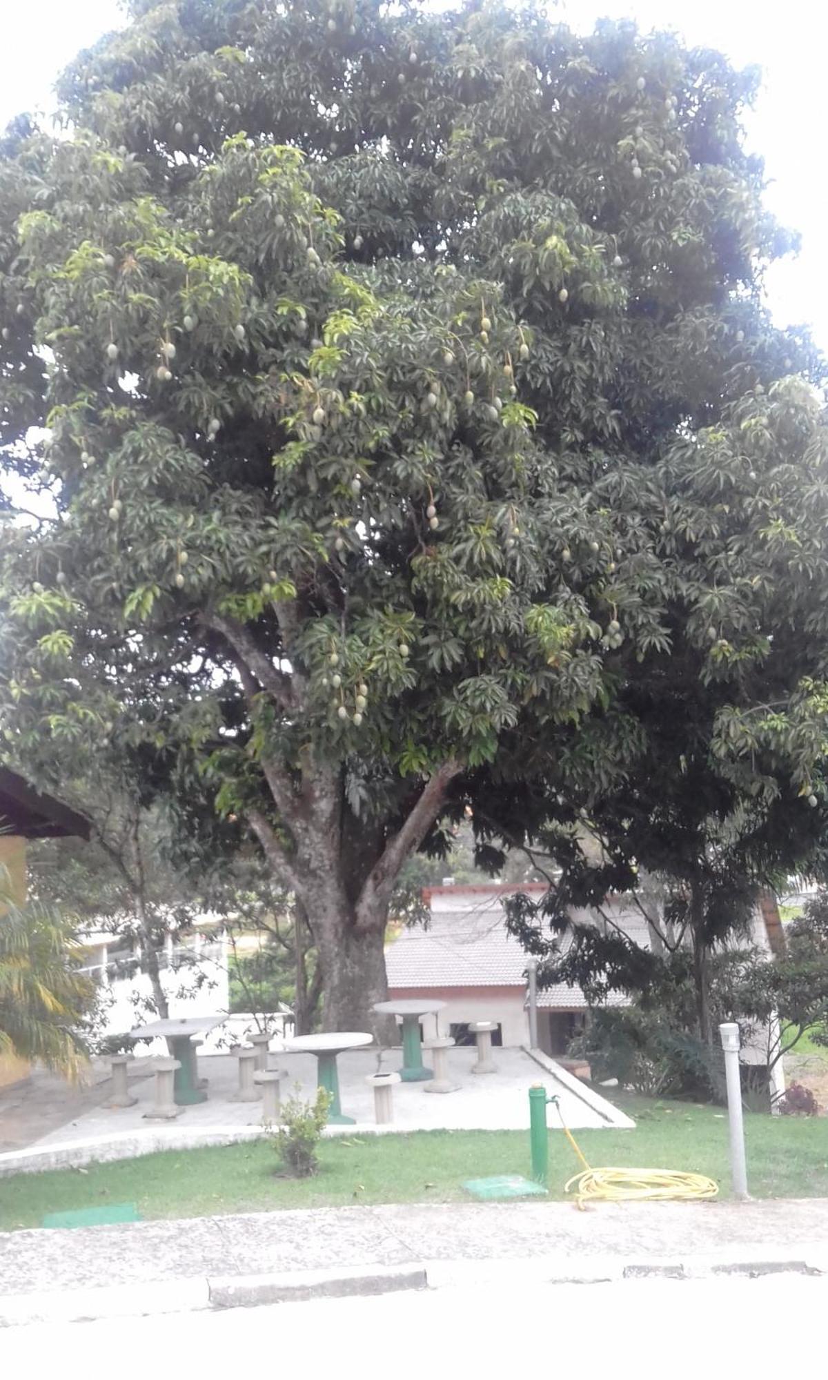 Hotel Pousada Gurupiá Serra Negra  Exterior foto